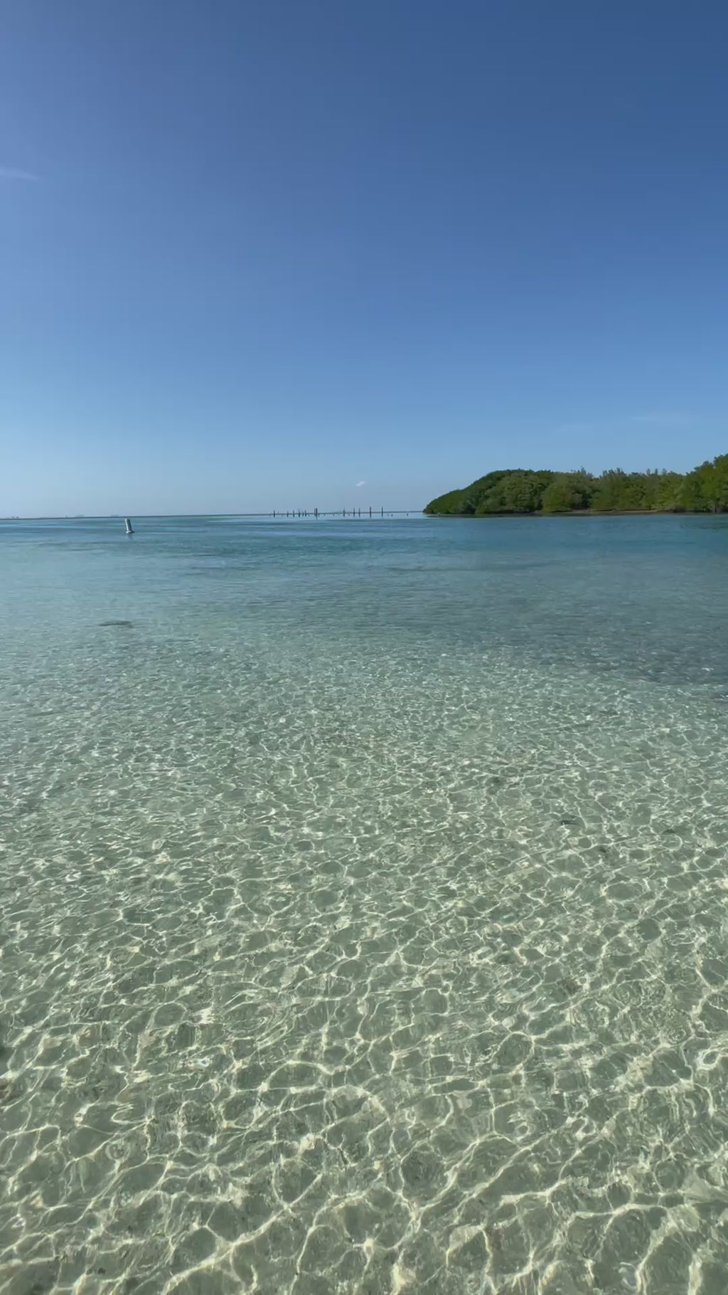 Biscayne National Park Boat Tour